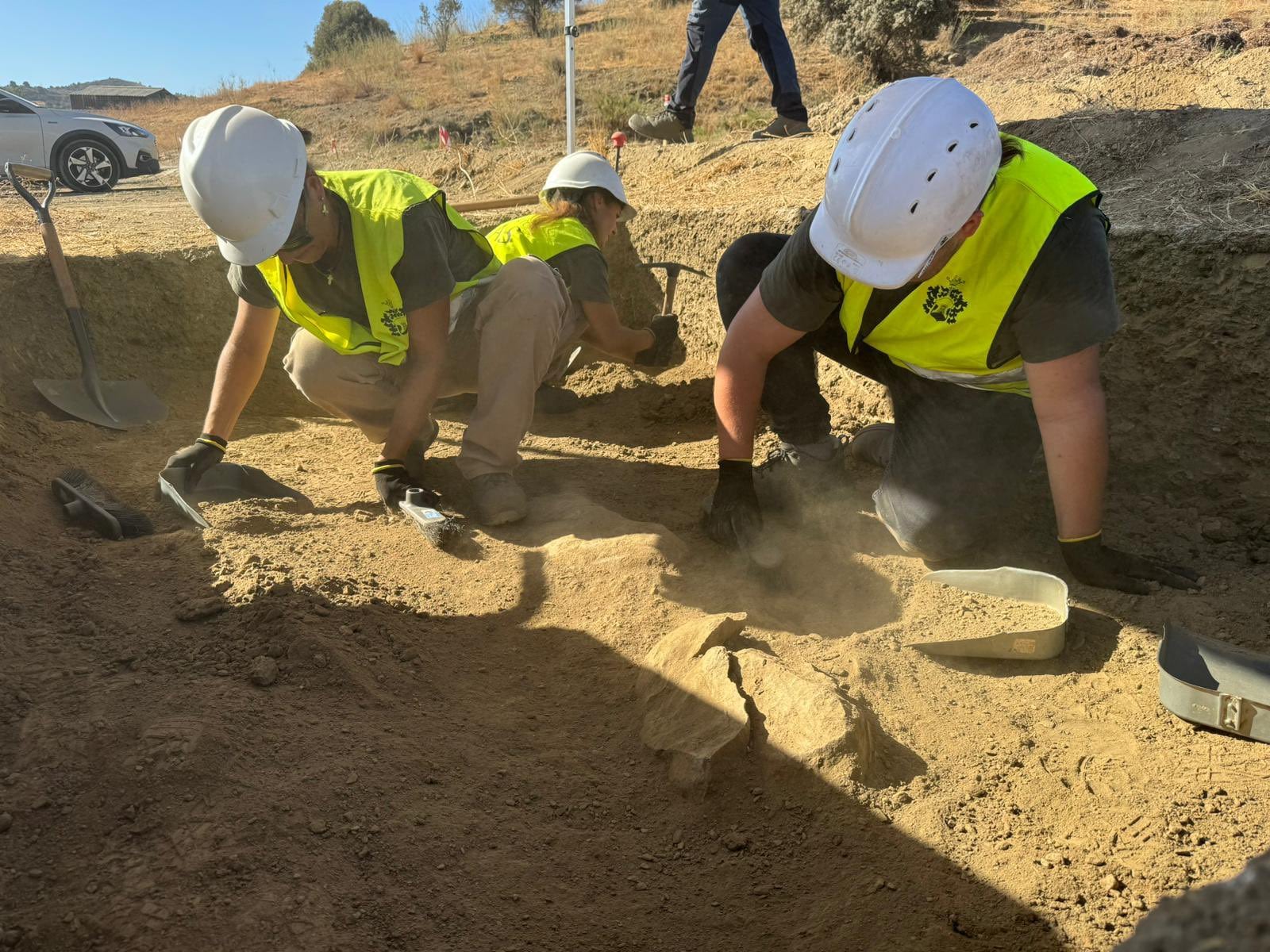 Las estructuras arqueológicas se han detectado en el transcurso de la construcción de un parque de ocio