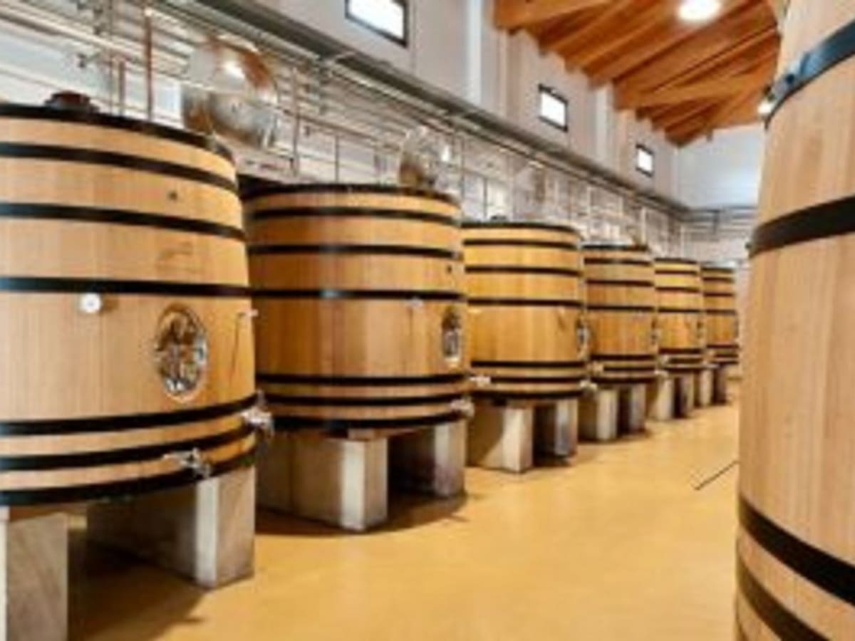 El legado de un visionario: Vicente Taberner