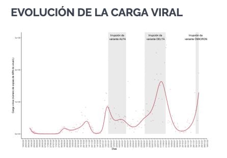 Evolución de la carga viral