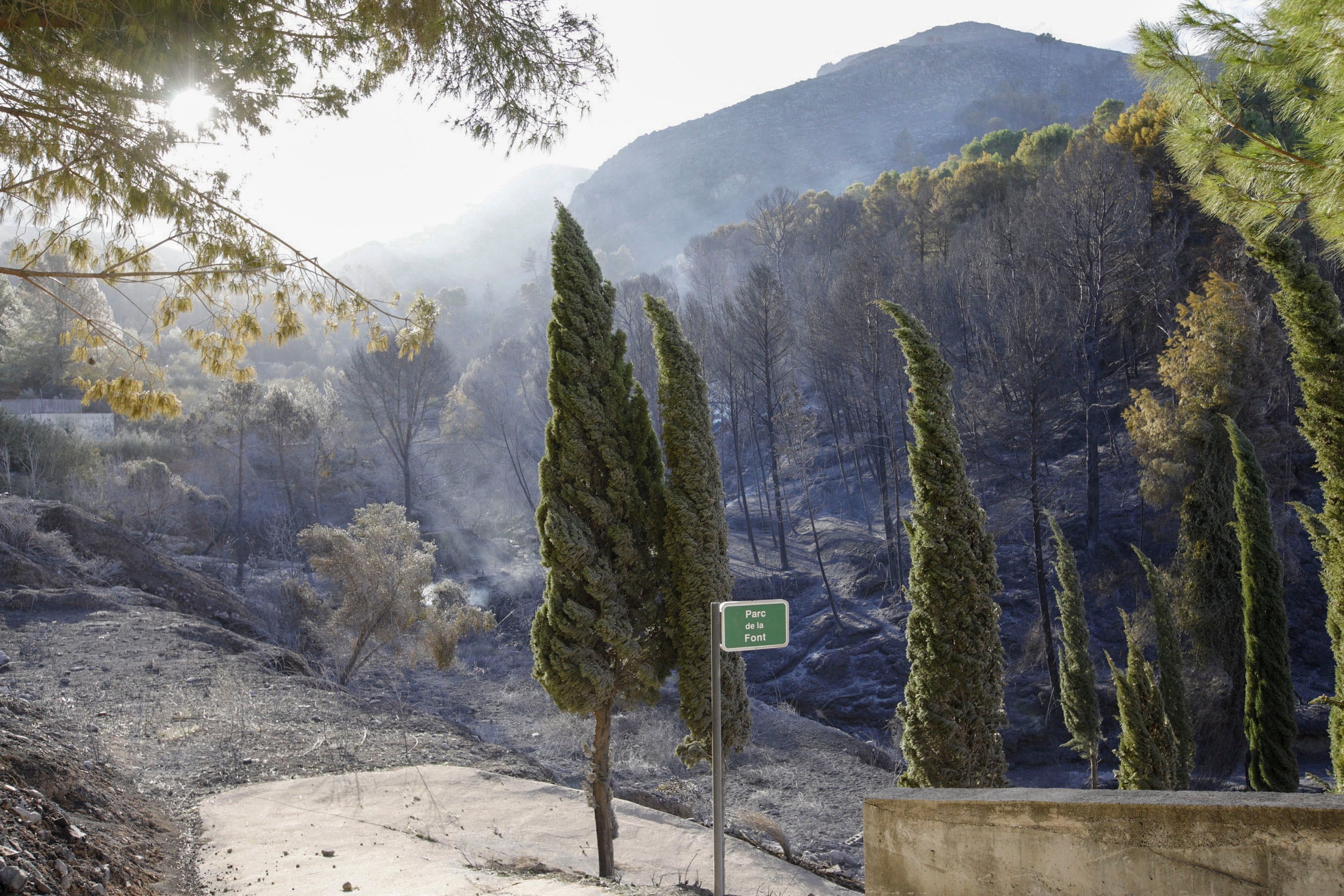 Alrededores de la población valenciana de Terrateig, evacuada anoche a causa del incendio de Montixelvo que ha obligado a desalojar a cerca de 1000 personas en varias poblaciones y urbanizaciones de la zona y en el que las fuertes rachas de viento impiden, de momento, la utilización de los medios aéreos . EFE/ Natxo Francés