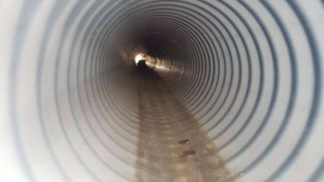 Tubería en la que se encontraba atrapado el felino en Puerto del Carmen.