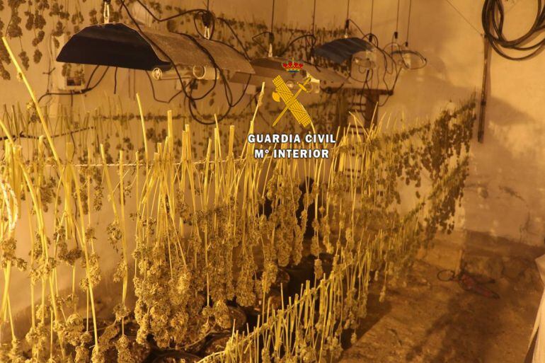 La operación de la Guardia Civil se ha desarrollado en las últimas semanas