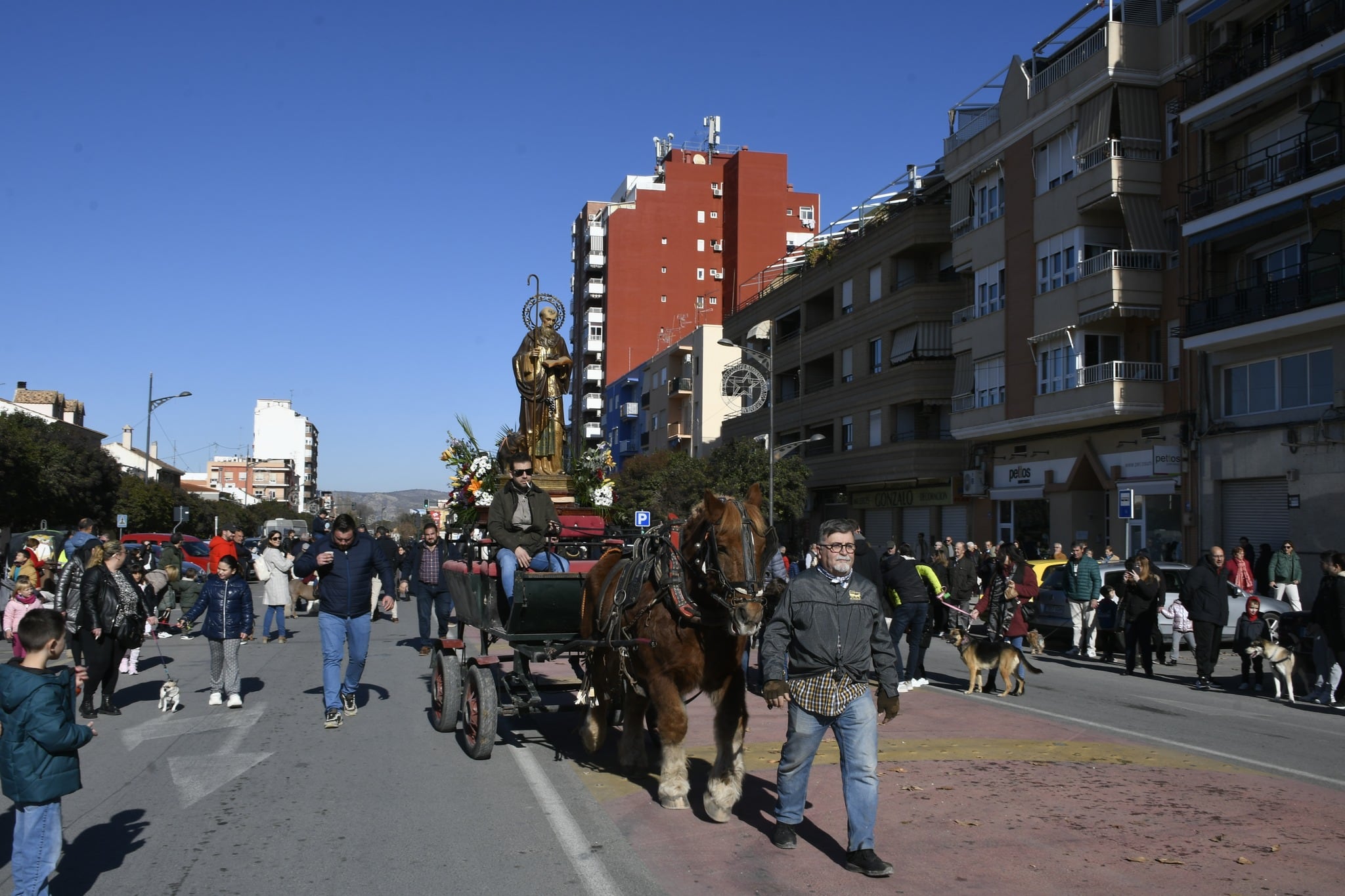 Desfile de San Antón. Villena