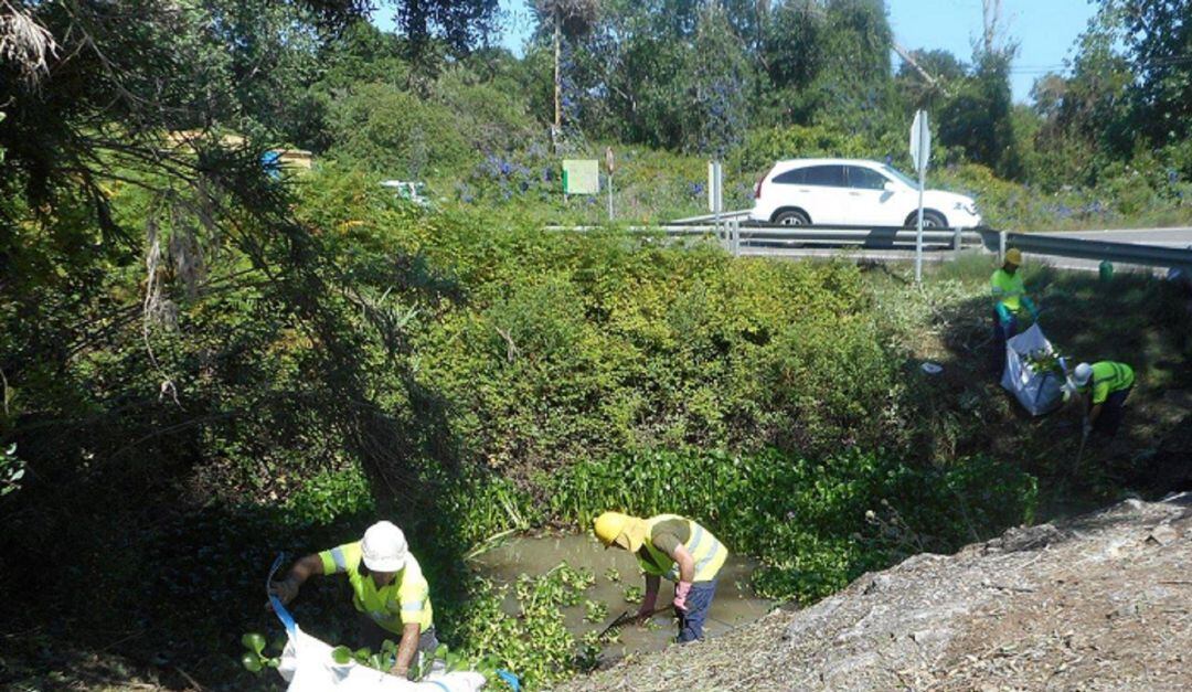 Retirada de camalote en el arroyo de La Cava.