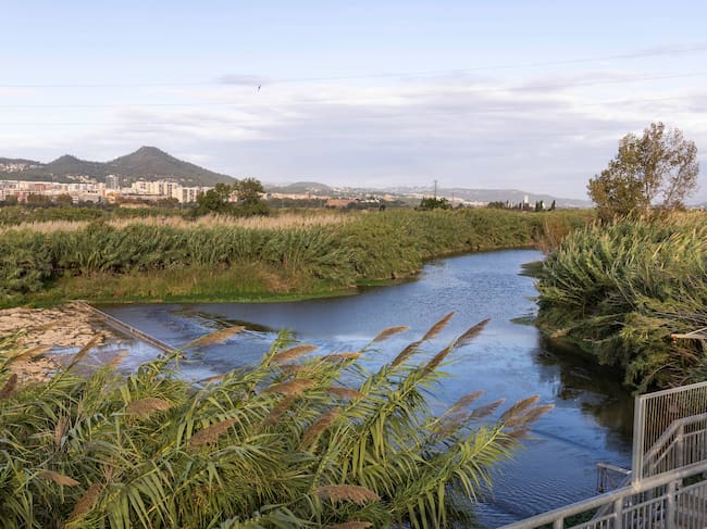 El riu Llobregat té diversos punts de tractament d'aigua regenerada.