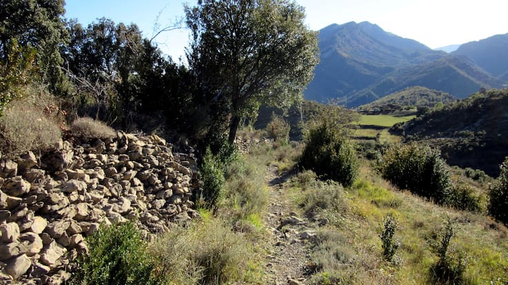 Maribel de Pablo, presidenta del área de Desarrollo de la DPH
