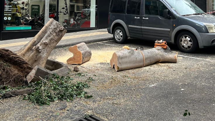 Inocente Carralero: "Previsiblemente habrá viendo hasta el domingo"