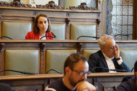 Pilar Vicente durante una intervención en el salón de plenos, con Jesús Presencio en la parte inferior 