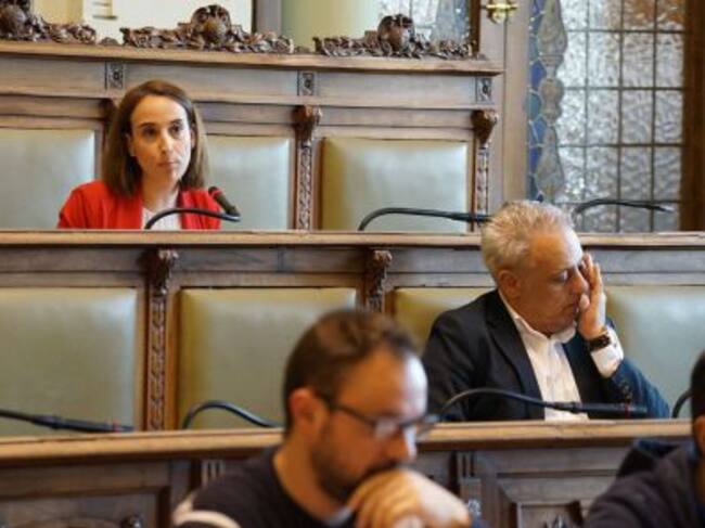 Pilar Vicente durante una intervención en el salón de plenos, con Jesús Presencio en la parte inferior