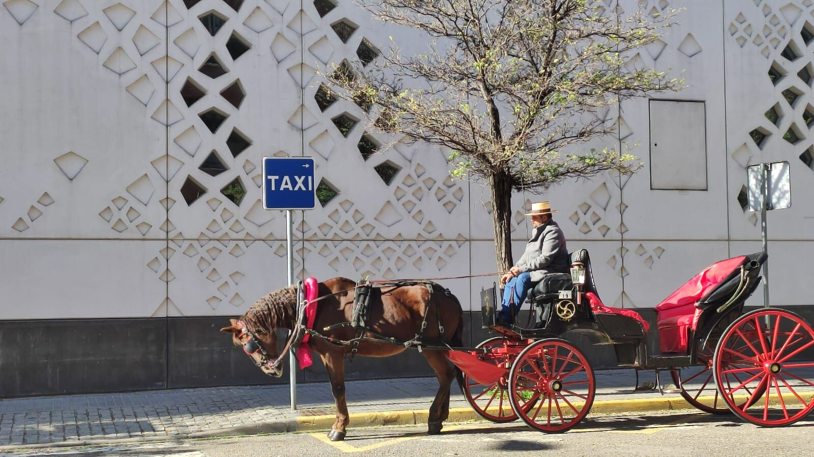 Coches de caballos en Córdoba