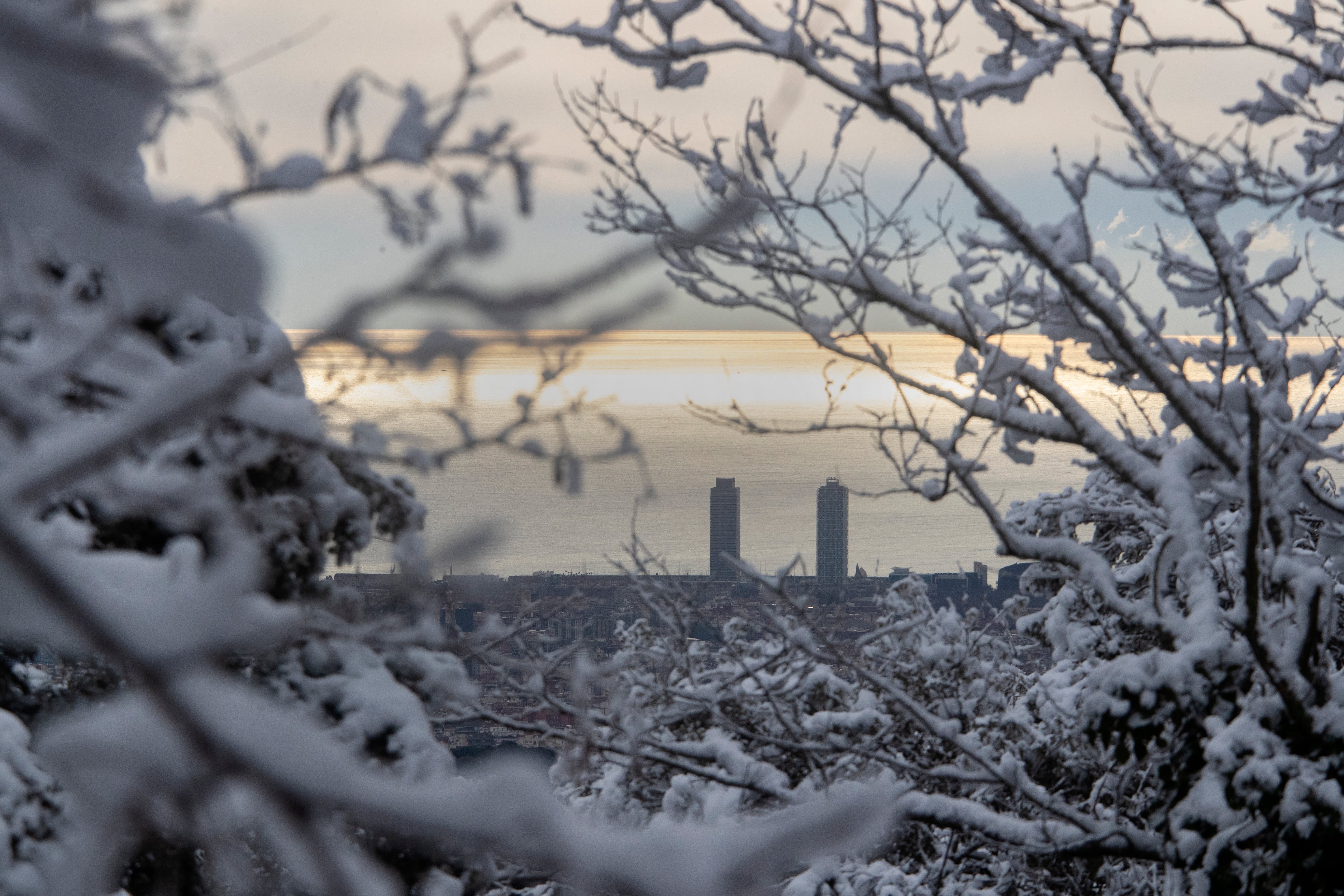 Aspecto del litoral barcelonés a través de los árboles nevados de la montaña del Tibidabo.