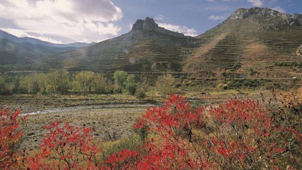 El consejero de Sostenibilidad y Transición Ecológica asegura que la celebración del Día Mundial del Medioambiente debe servir para tomar conciencia
