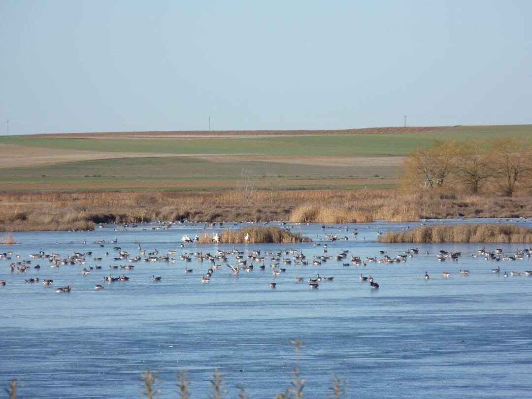 Laguna de la Nava