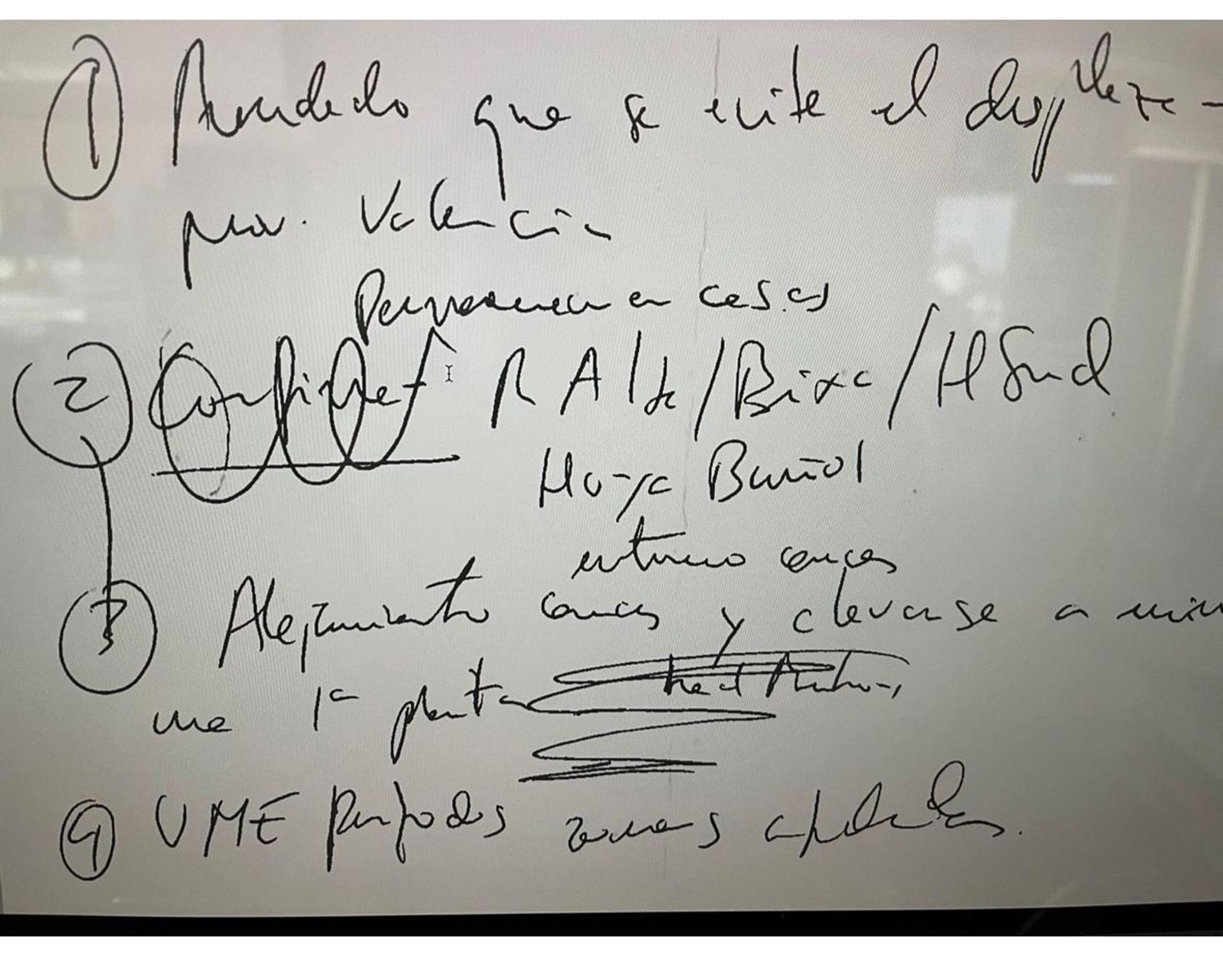 Imagen del documento con las notas de la exconsellera Salomé Pradas
