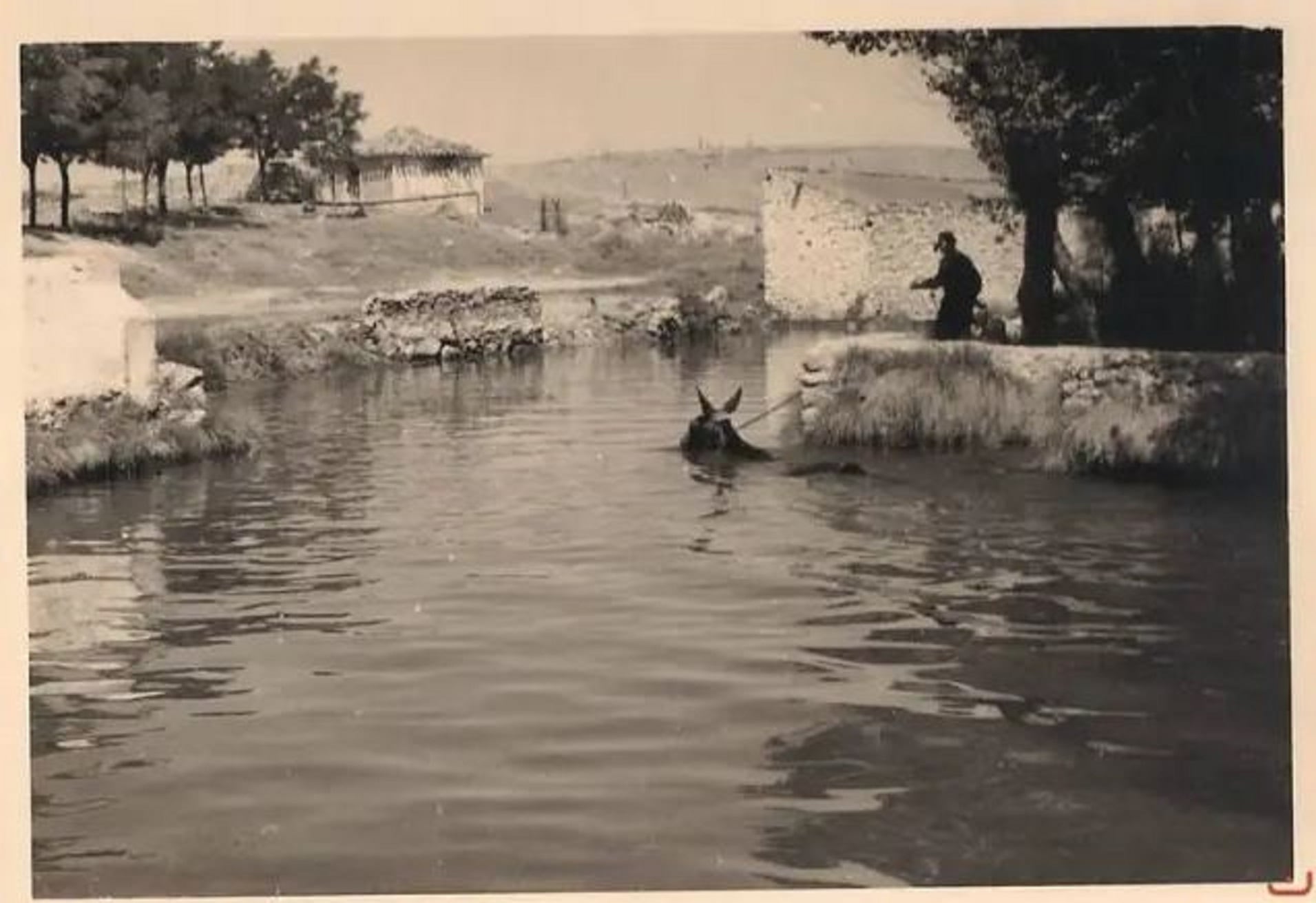 En los baños de Sahona se bañaban hasta las caballerías.