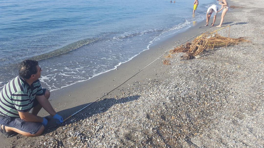 Las playas, a examen