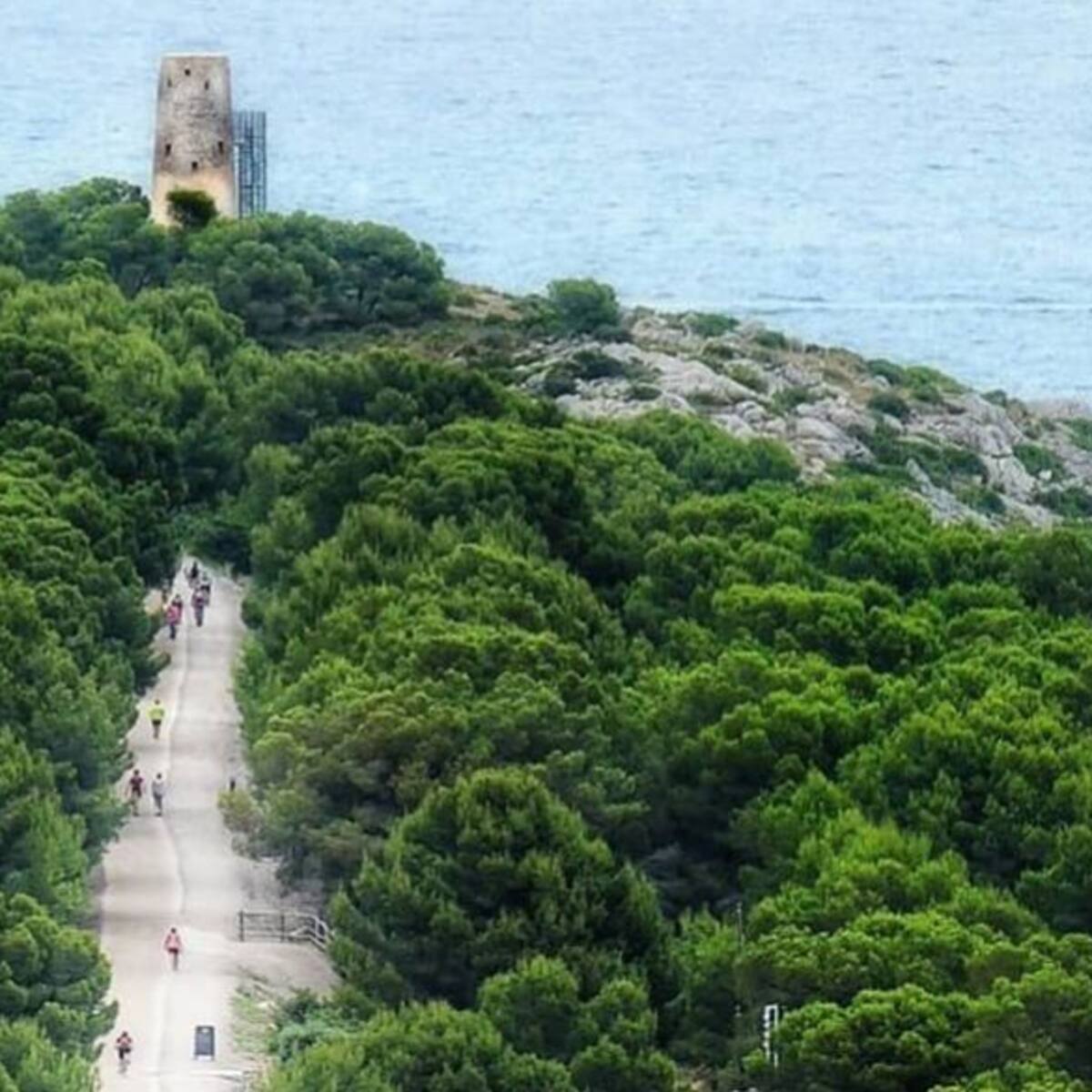 Oropesa trabaja en la preservación del entorno de la Vía Verde y solicita un estudio para iniciar acciones