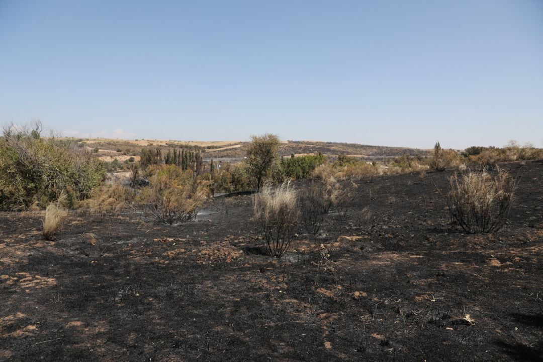 Totalmente extinguido el incendio forestal de Batres