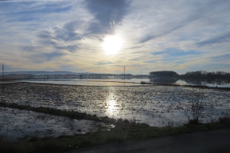 La avenida extraordinaria del Ebro inundó más de 19.000 hectáreas.