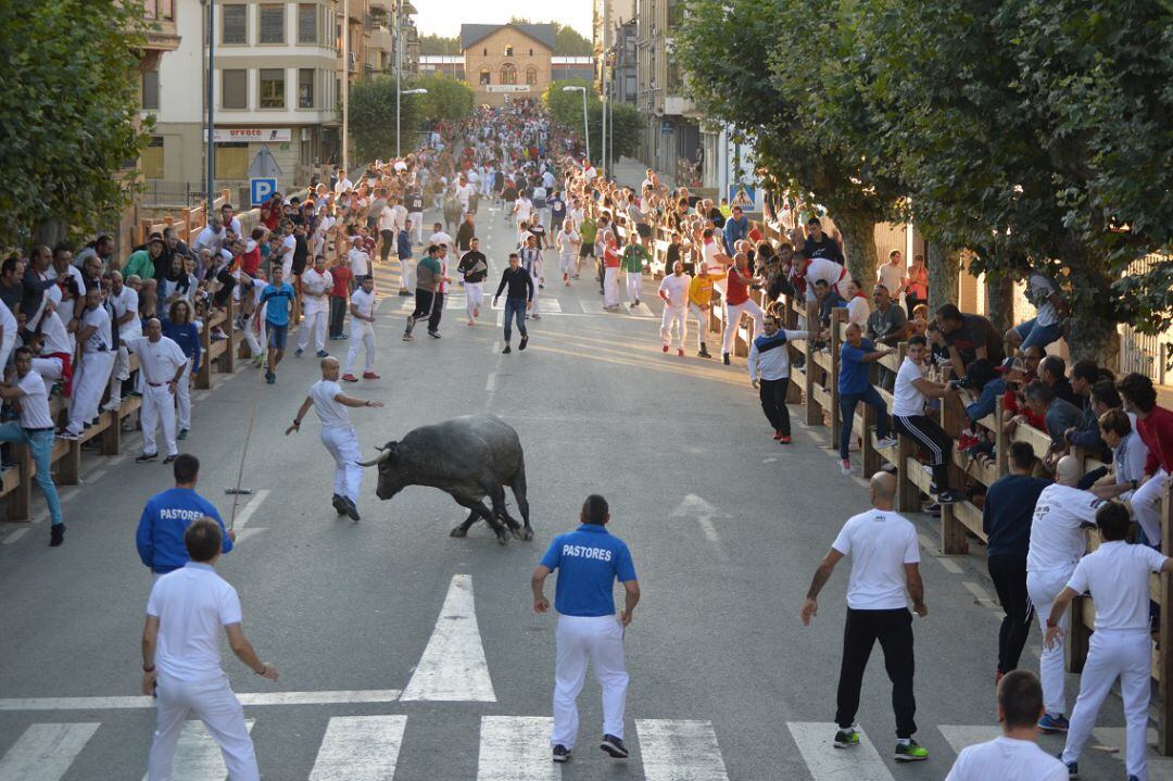 Tercer encierro de Fiestas de Tafalla 2019 con los toros de Saltillo