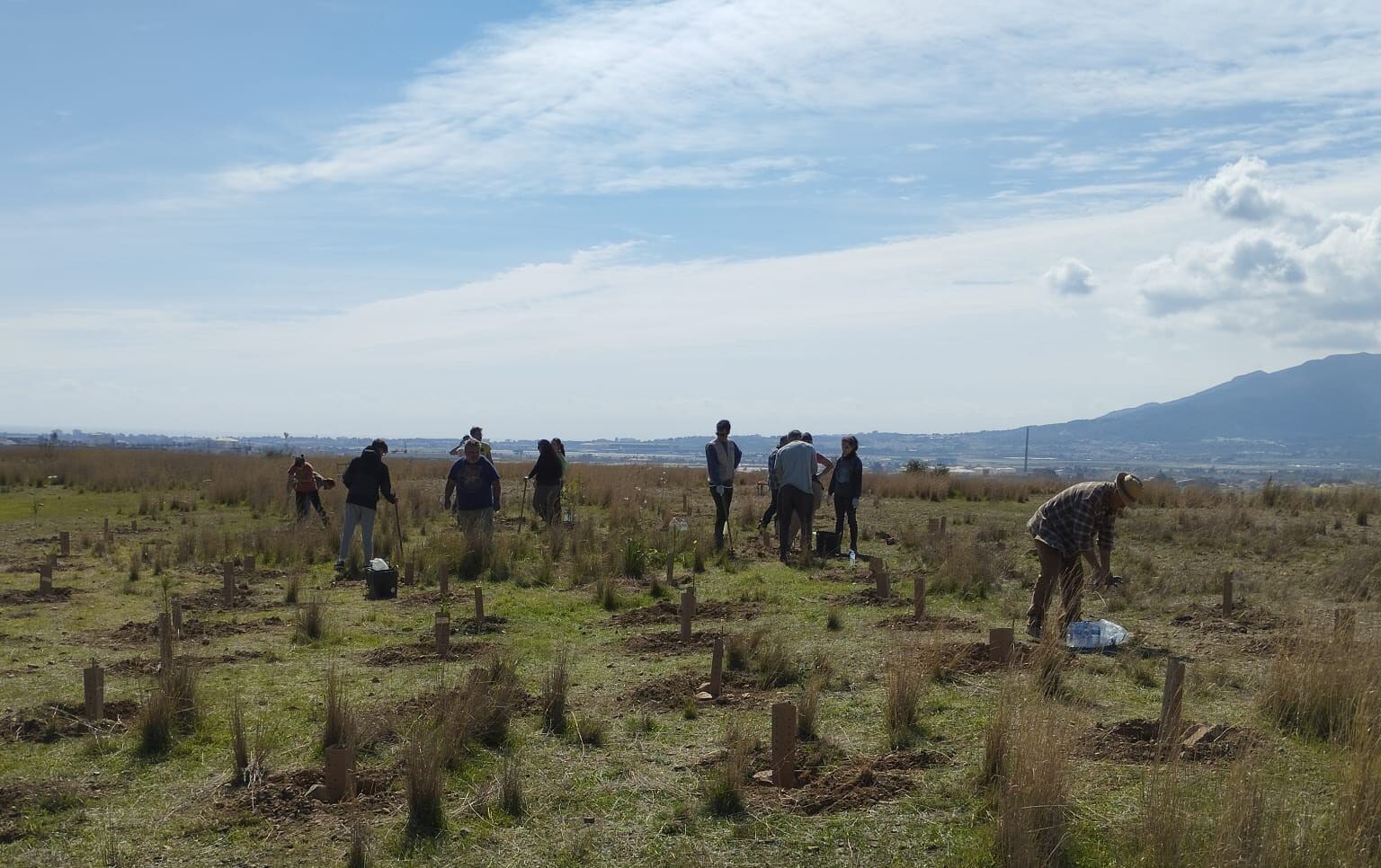 El concesionario Yamaha MotoCenter de Málaga ha estrenado la primera edición de “Una moto, un árbol”