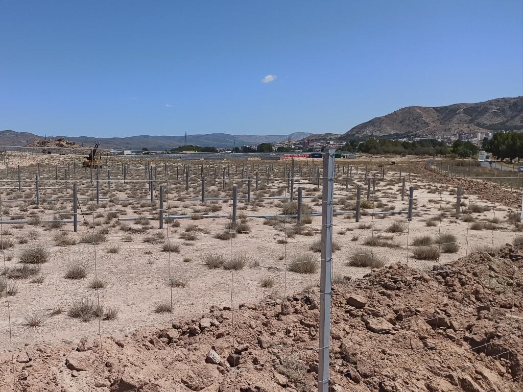 Zona donde se están llevando a cabo los primeros trabajos