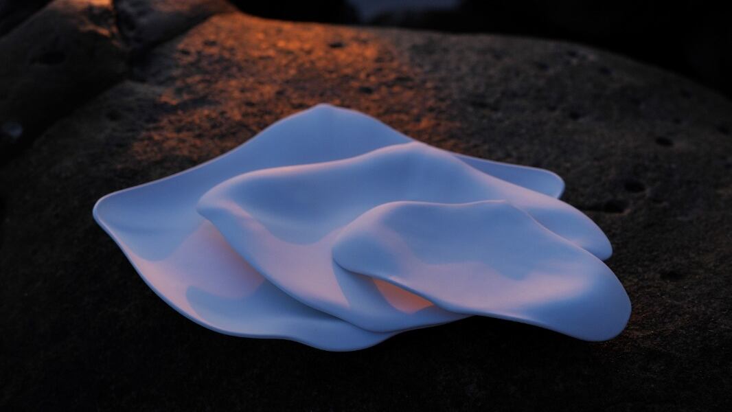 Una vajilla de inspiración marina "visibiliza las especies más amenazadas del Planeta"