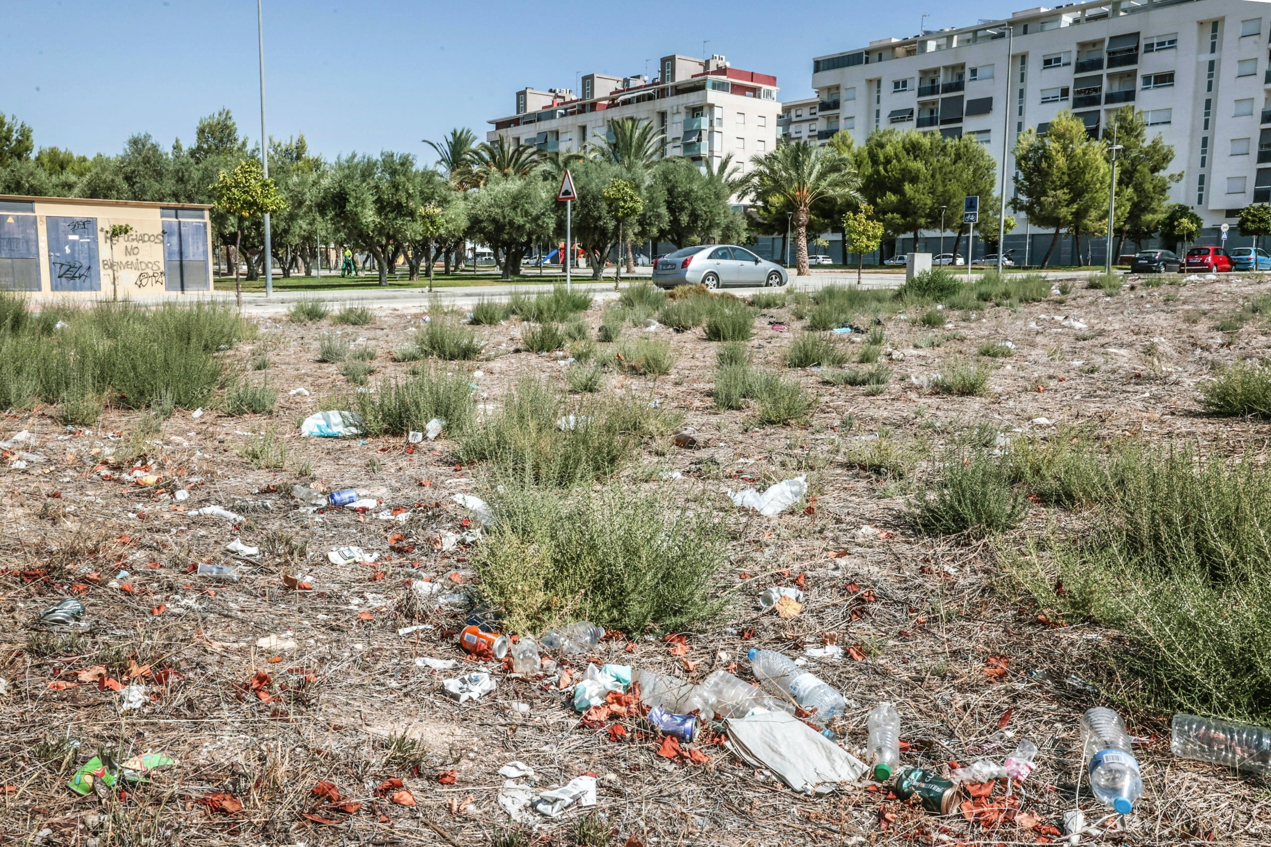 Desde el consistorio eldense se asegura que los solares municipales están perfectamente cuidados