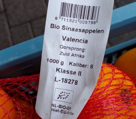 Taronges de la varietat València procedents de Sud-àfrica introduïdes a la Unió Europea a través d'Holanda