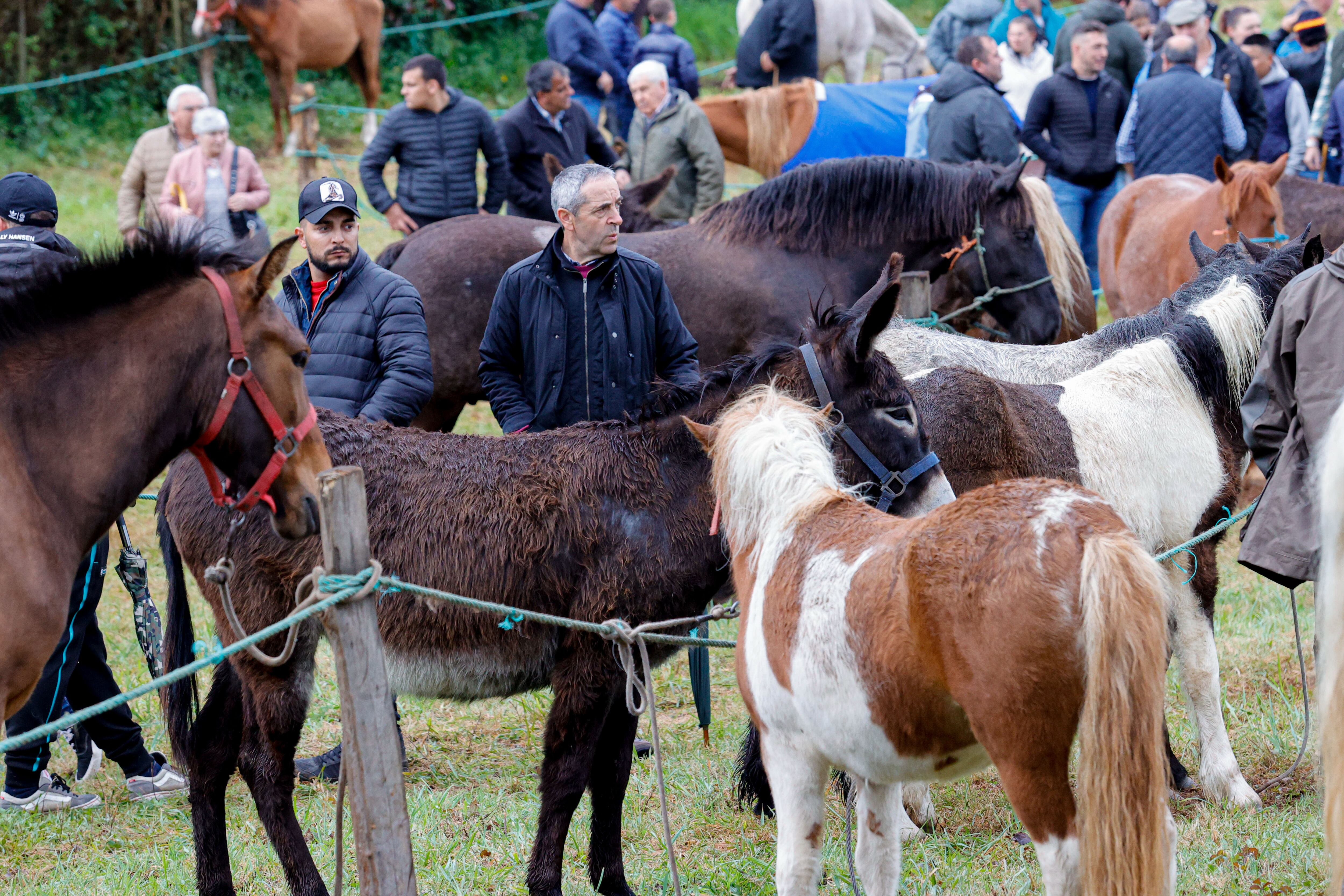 MOECHE, 23/04/2023.- Moeche vive cada 23 de abril su día grande, el de su feria del caballo, uno de los eventos festivos más tradicionales de toda la comarca de Ferrol. EFE/ Kiko Delgado.