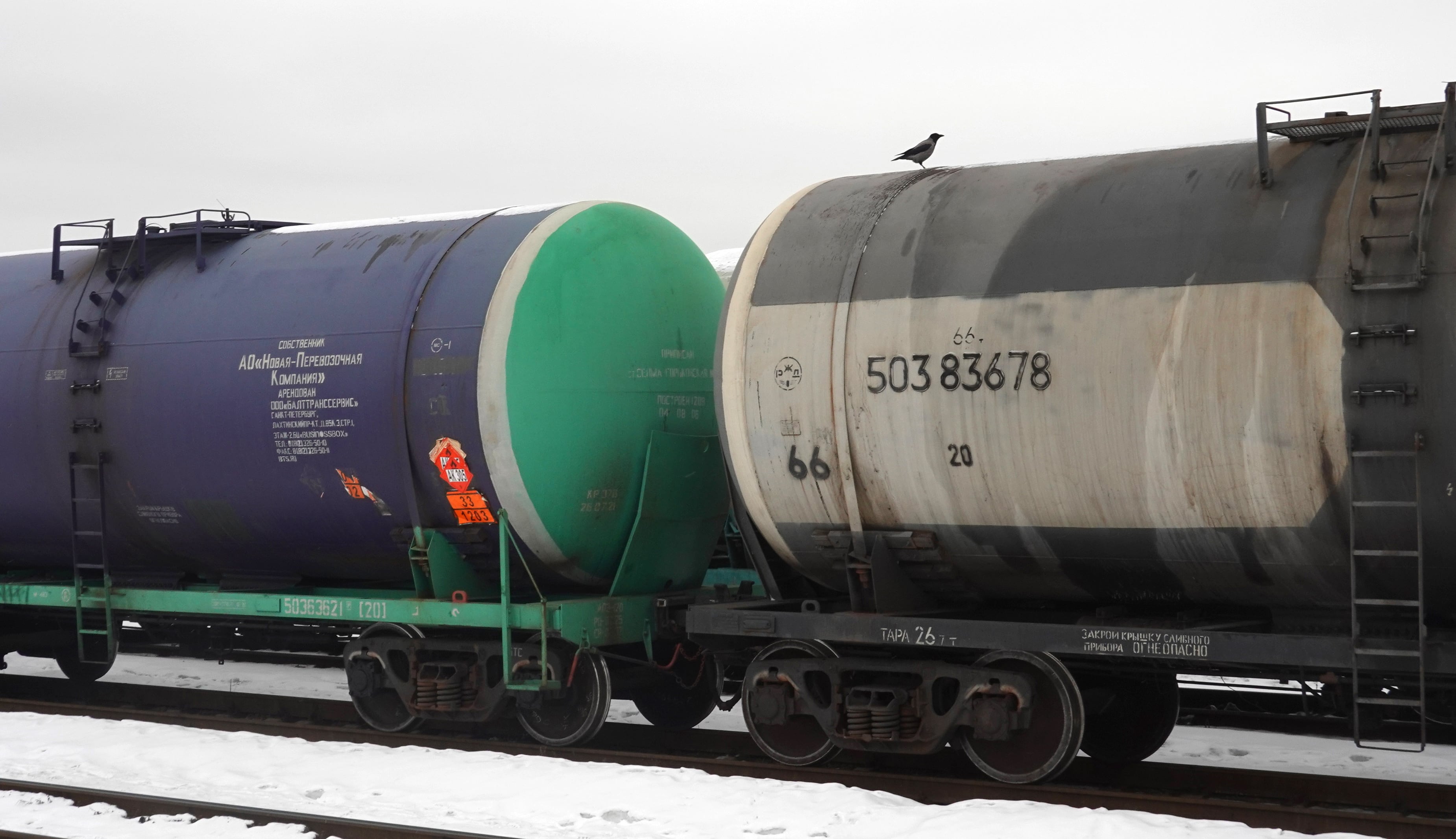 Moscow (Russian Federation), 06/02/2023.- A bird rests on a railway tanker carrying oil products outside Moscow, Russia, 06 February 2023. On 24 February 2022 Russian troops entered Ukrainian territory in what the Russian president declared a &#039;Special Military Operation&#039;, resulting in multiple sanctions against Russia, including sanctions against the oil industry. (Rusia, Moscú) EFE/EPA/MAXIM SHIPENKOV
