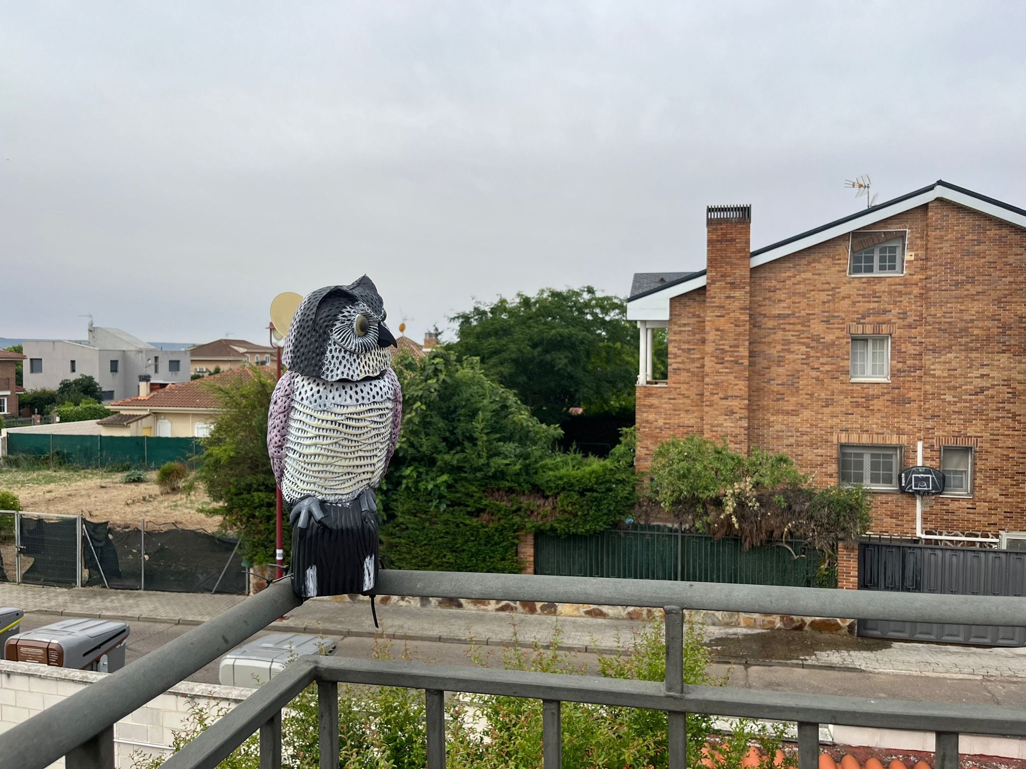 Buho disuasorio en una terraza de Cabanillas del Campo