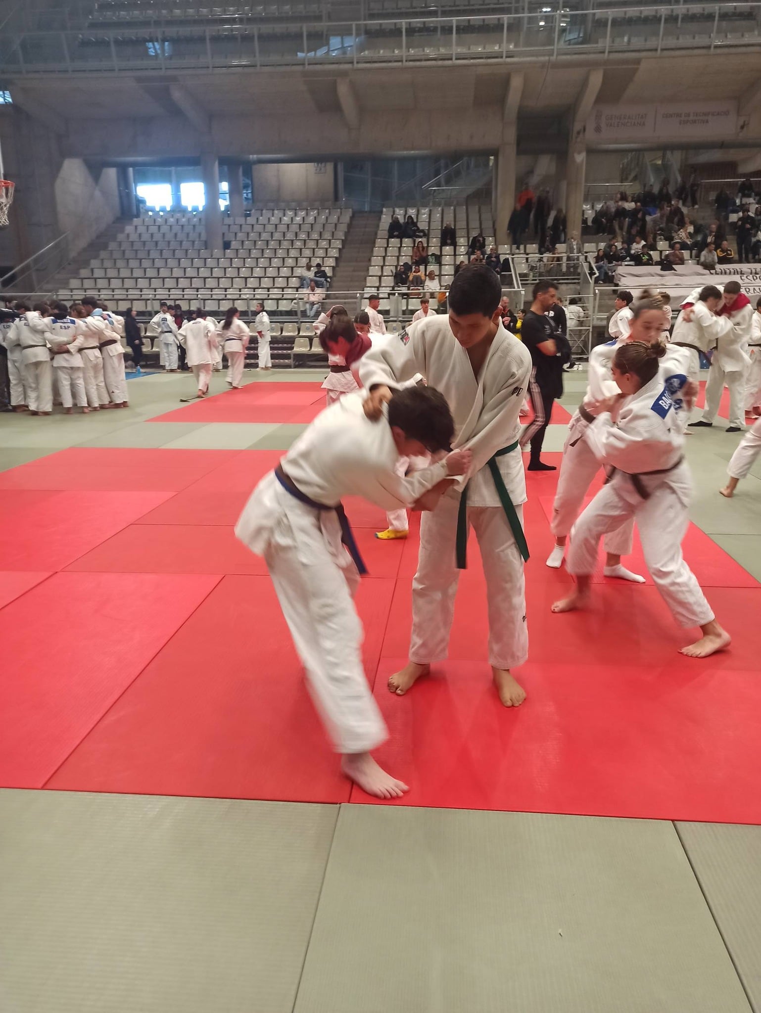 Judo Camv en Alicante
