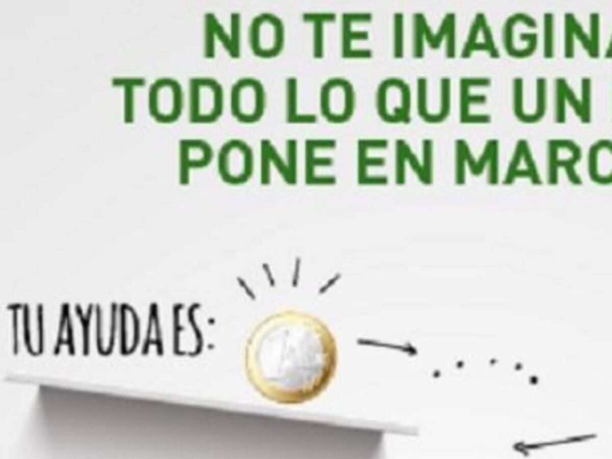 La Asociación Española Contra el Cáncer, Junta Local de Elda-Petrer, pone en marcha su campaña de cuestación