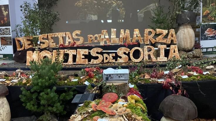 José Antonio Vega, director técnico de Montes de Soria, describe la exposición MICOhabitats de Almarza