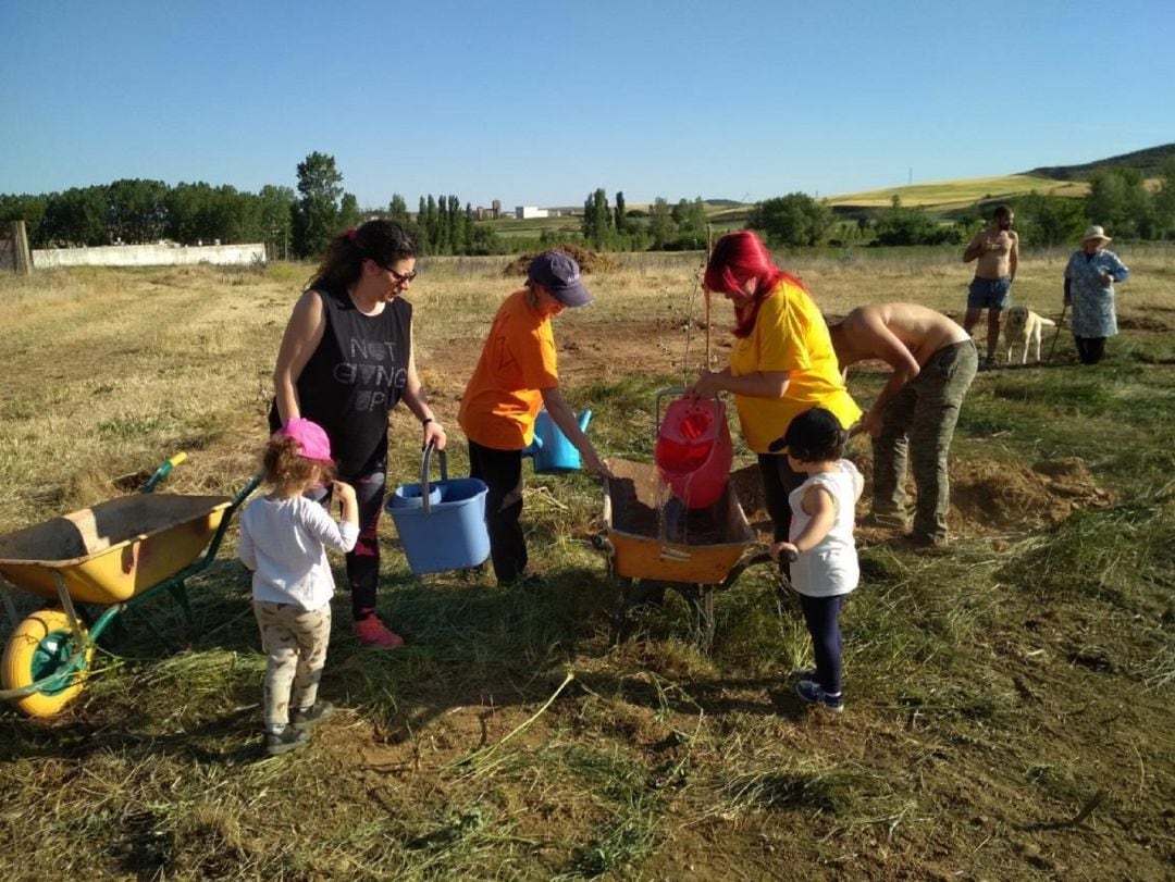 Buena acogida de las ayudas para voluntariado ambiental de la Diputación de Palencia