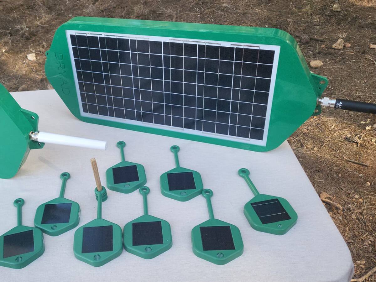 Inteligencia artificial en Málaga para detectar incendios forestales por el olor