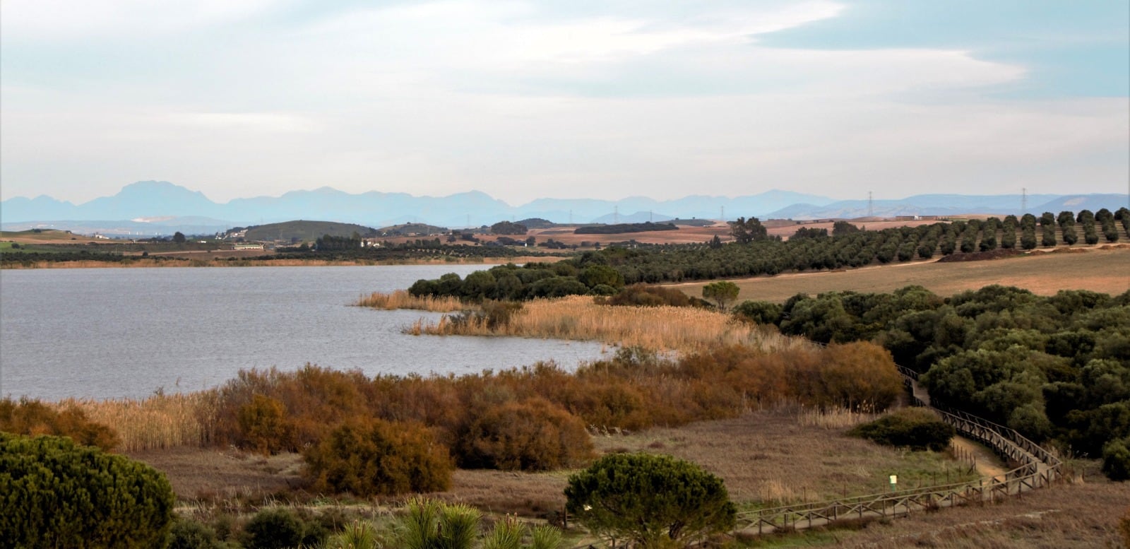 Recorrido por la Laguna de Medina