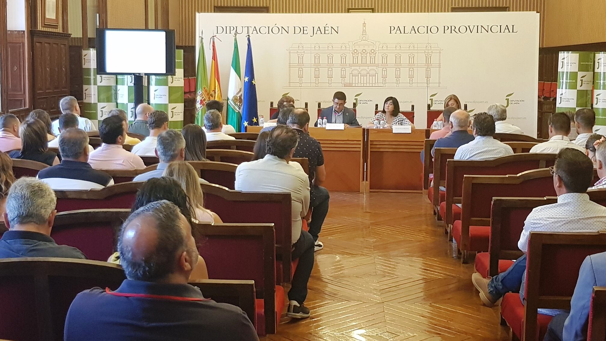 Reunión del Consejo de Alcaldes y Alcaldesas de Jaén.