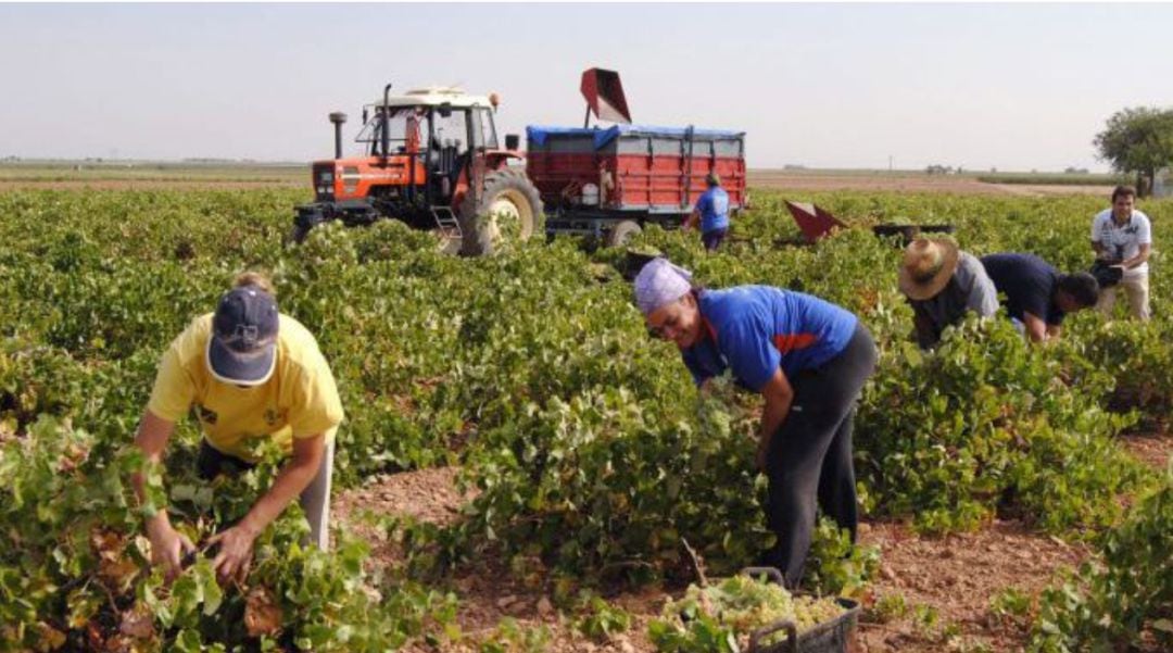 Imagen de archivo de trabajadores en la agricultura