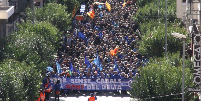 Marea Blava a Amposta