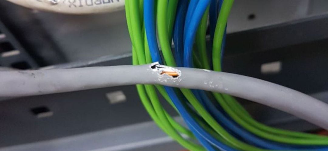 Un cable roído por las ratas