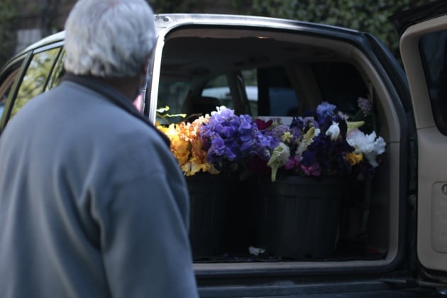 Están regalando flores a hospitales y residencias de mayores