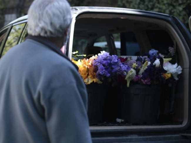 Están regalando flores a hospitales y residencias de mayores