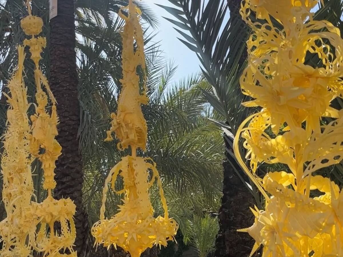 La tradición de las palmas blancas de Elche viajan con destino real y papal
