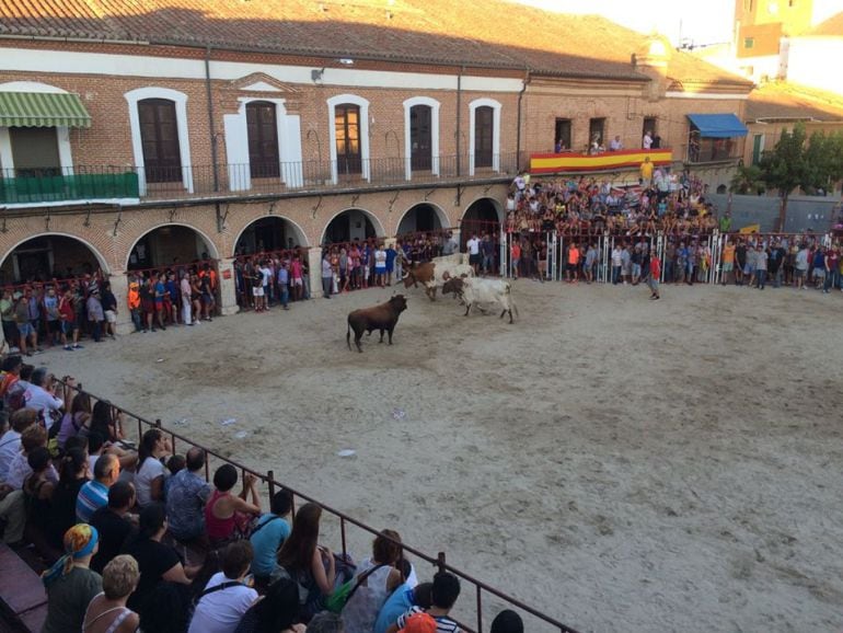 Las actividades culturales darán paso a los novillos en La Seca