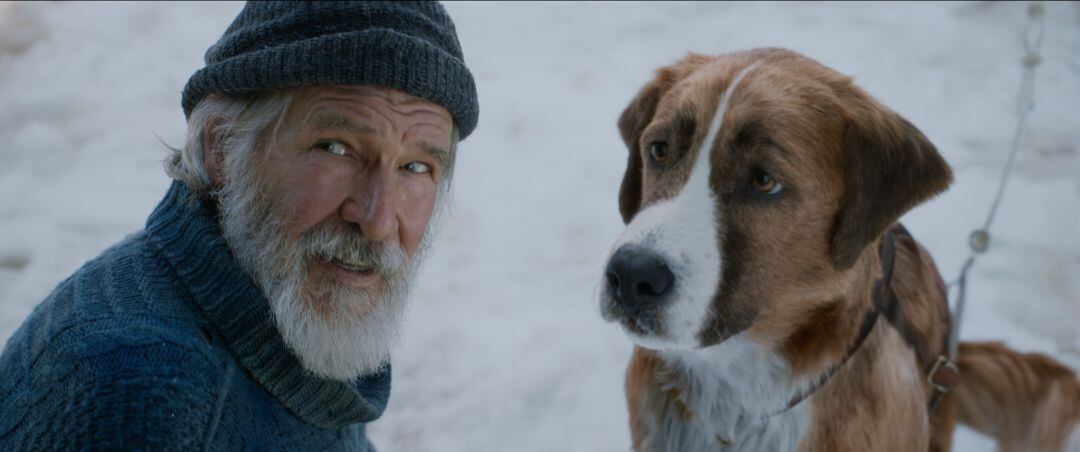 Harrison Ford y Buck en La llamada de lo salvaje