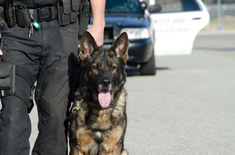 Los perros policía reclaman a la ONU un día mundial que reconozca su labor.