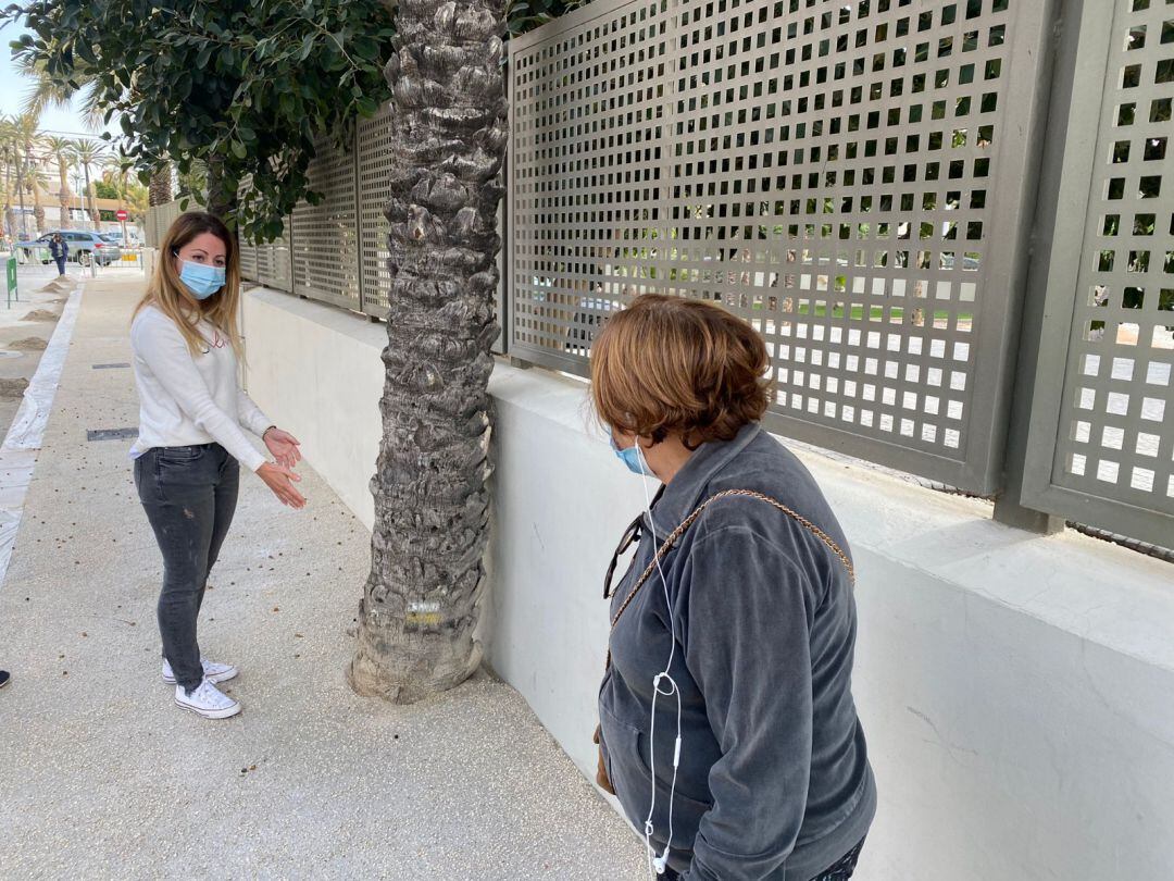 Inmaculada Mora (PP) con una palmera con hormigón
