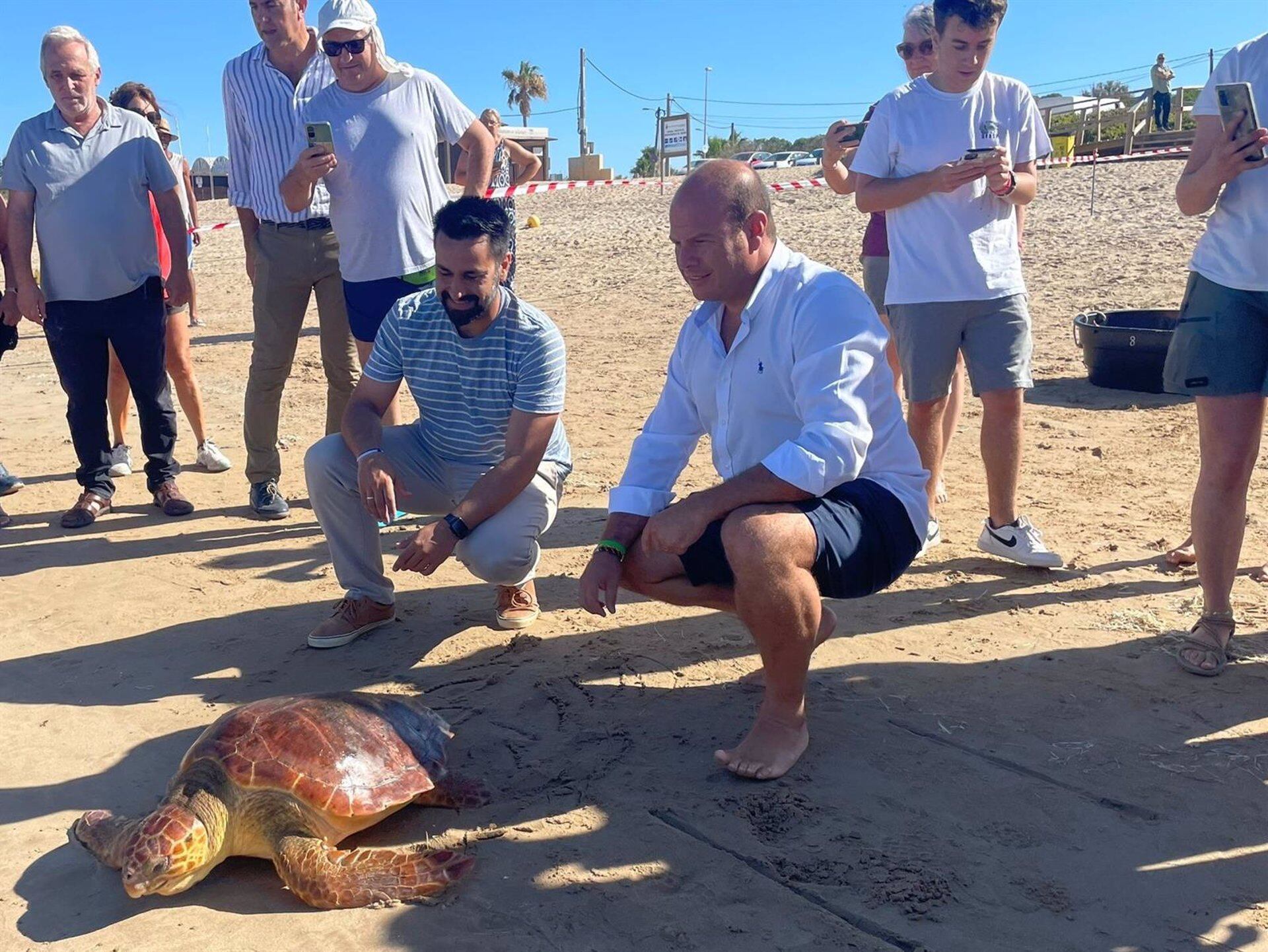 Oscar Curtido en la suelta de ejemplares de dos tortugas en la playa de las Tres Piedras en Chipiona